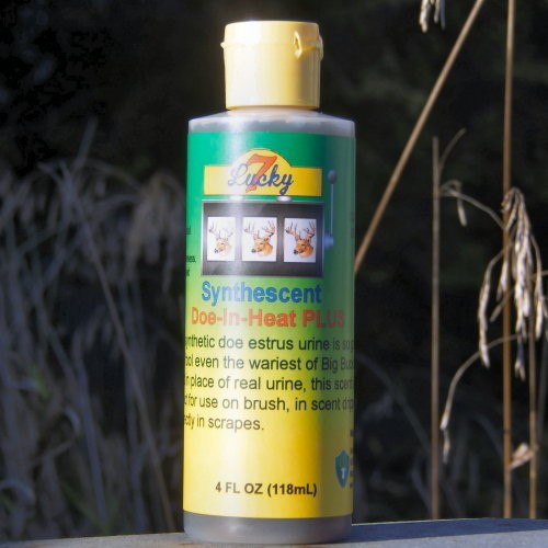 Synthetic Urine Bladder 
      Bag Kit Pebblestone Apex NC